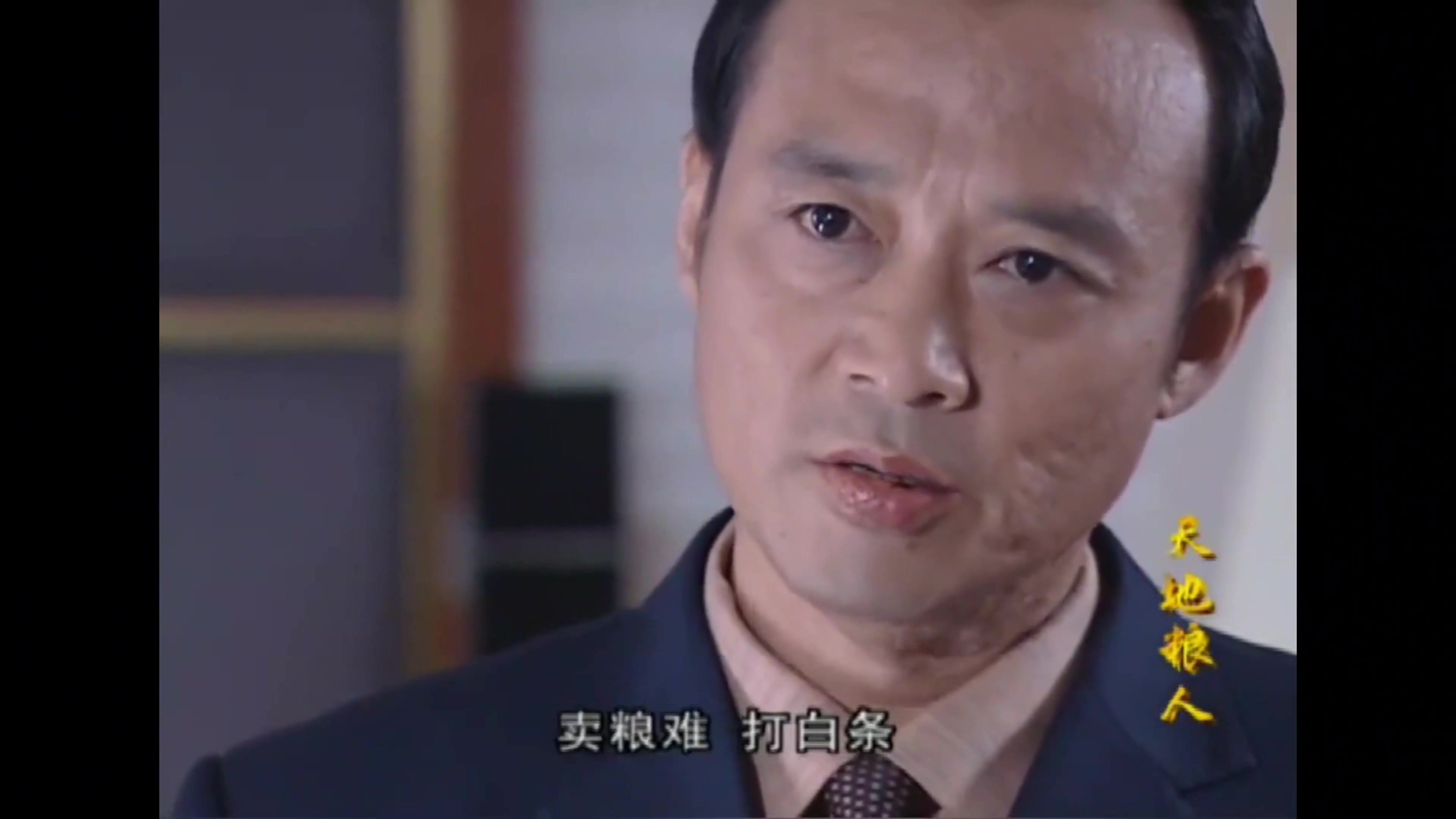 电视剧天下粮人(电视剧天下粮人胡局长结局)