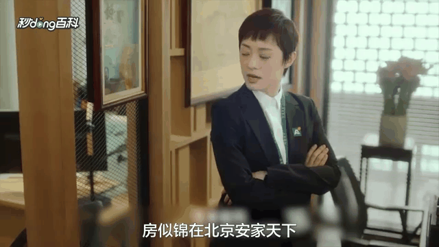 安家在线观看免费(安家在线观看免费完整版)