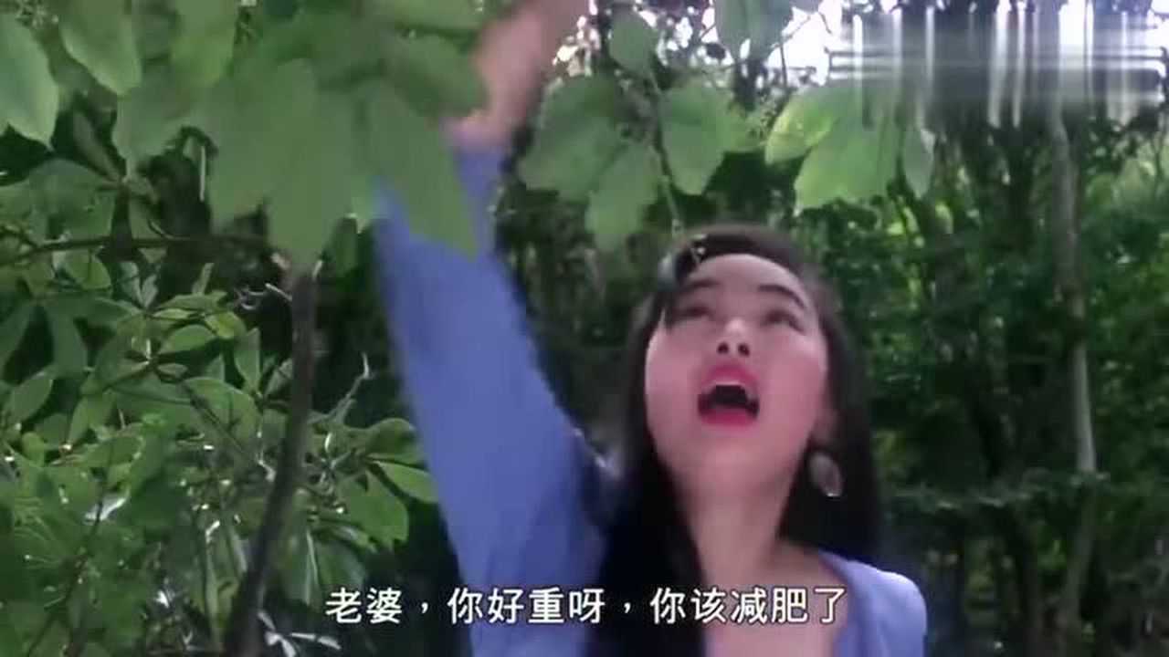 僵尸福星仔下载(僵尸福星仔)
