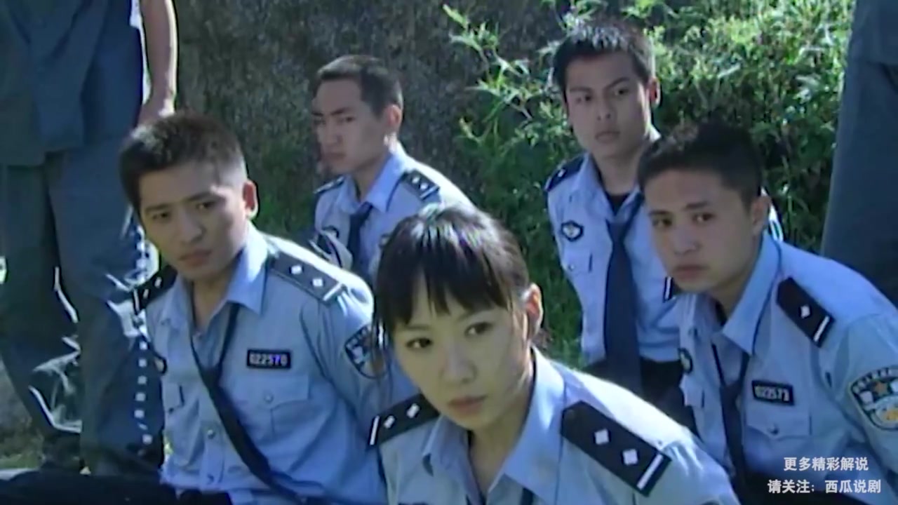 大追捕全集(大追捕全集免费播放)