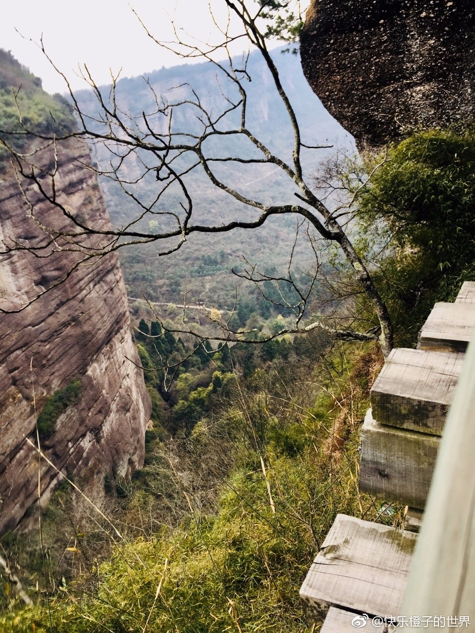 天梯电视剧(天梯电视剧国语版)