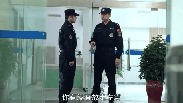 功夫战警(功夫战警2)