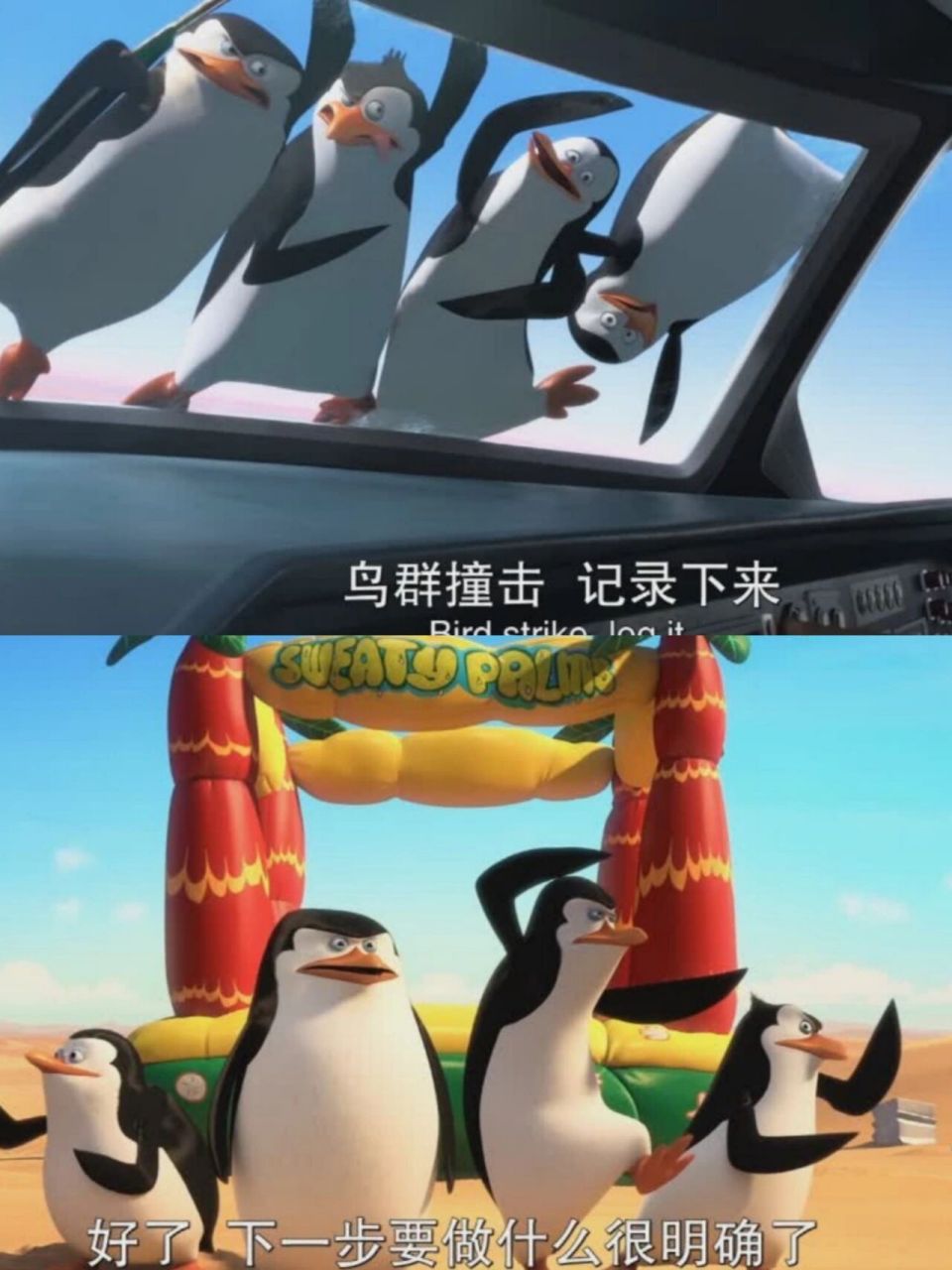 马达加斯加的企鹅国语全集(马达加斯加的企鹅国语全集观看)