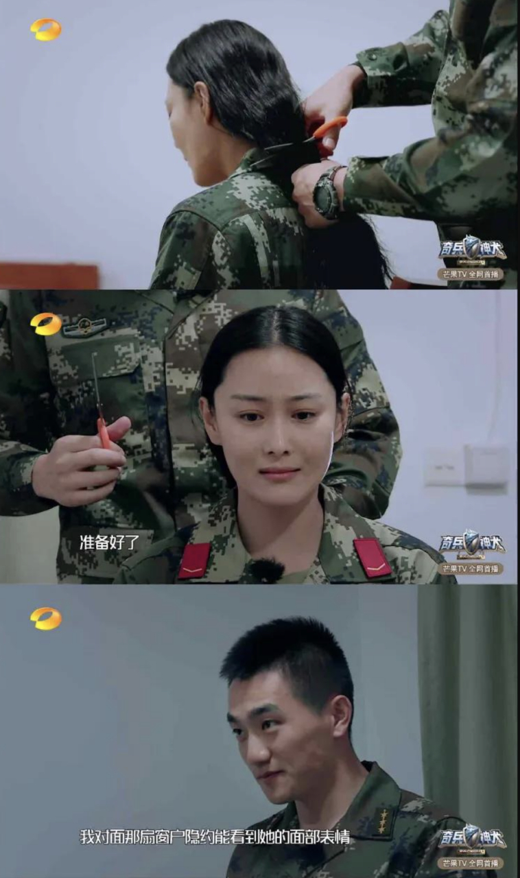 神犬奇兵全集在线观看(神犬奇兵全集在线观看完整版高清)