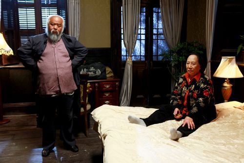 新上门女婿全集(新上门女婿全集免费版在线观看)