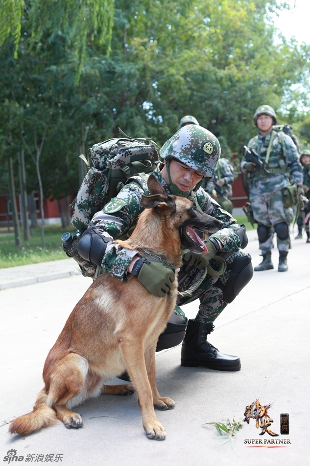 电视剧神犬奇兵(电视剧神犬奇兵剧情介绍)