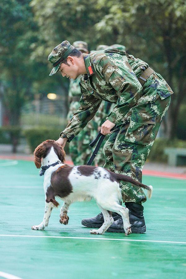 电视剧神犬奇兵(电视剧神犬奇兵剧情介绍)