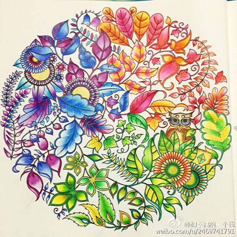 秘密花园高清(秘密花园高清打印图)