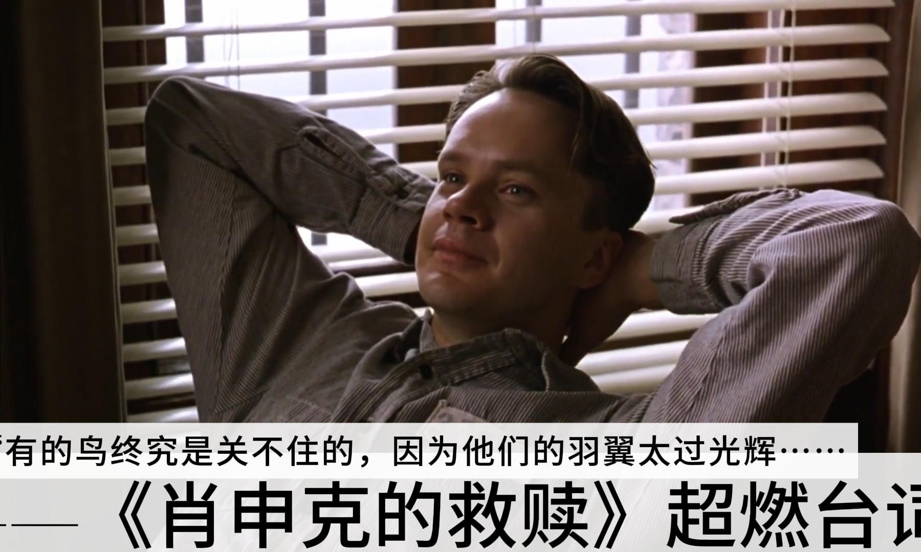 肖申克的救赎国语版(肖申克的救赎国语版完整版)