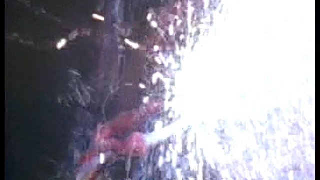 收规华粤语版(收规华国语版全集在线观看)