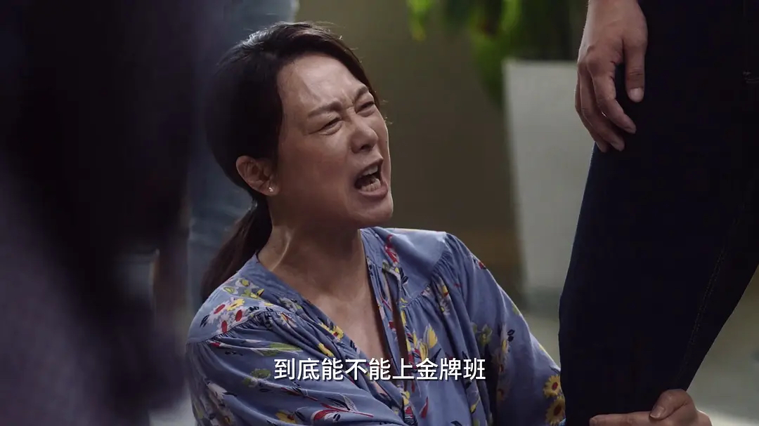 电视剧小舍得全集免费观看(电视剧小舍得全集免费观看在线)