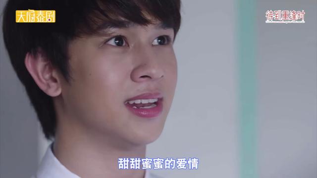 待到重逢时泰剧在线观看(待到重逢时泰剧在线观看完整版)