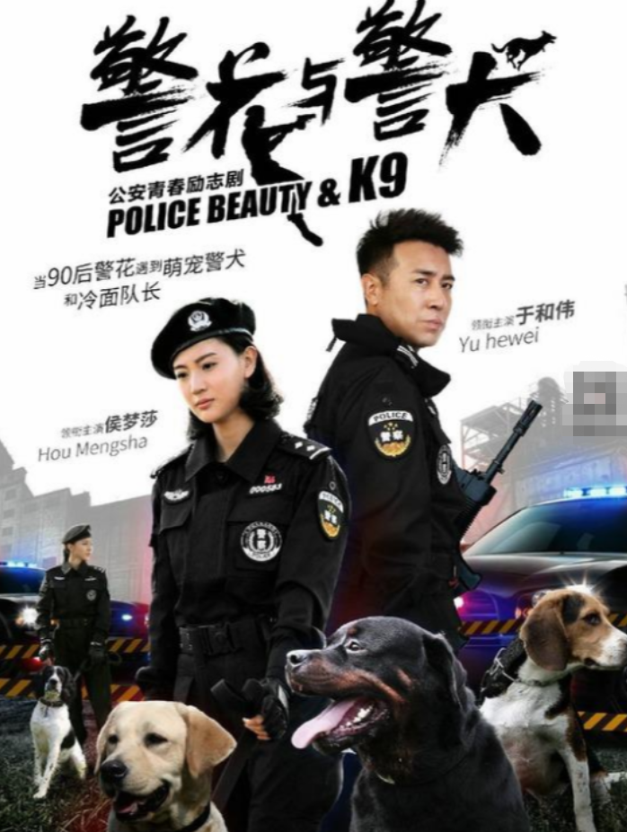 飘帅全集在线观看(飘帅在线观看免费全集剧情)