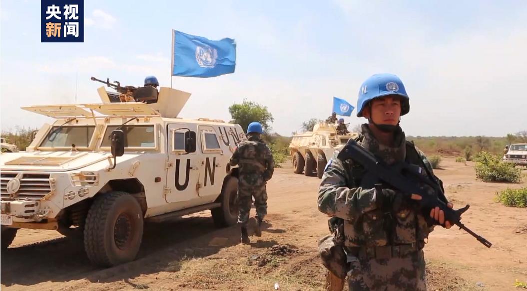 维和步兵营免费观看(电视剧维和步兵营免费观看)