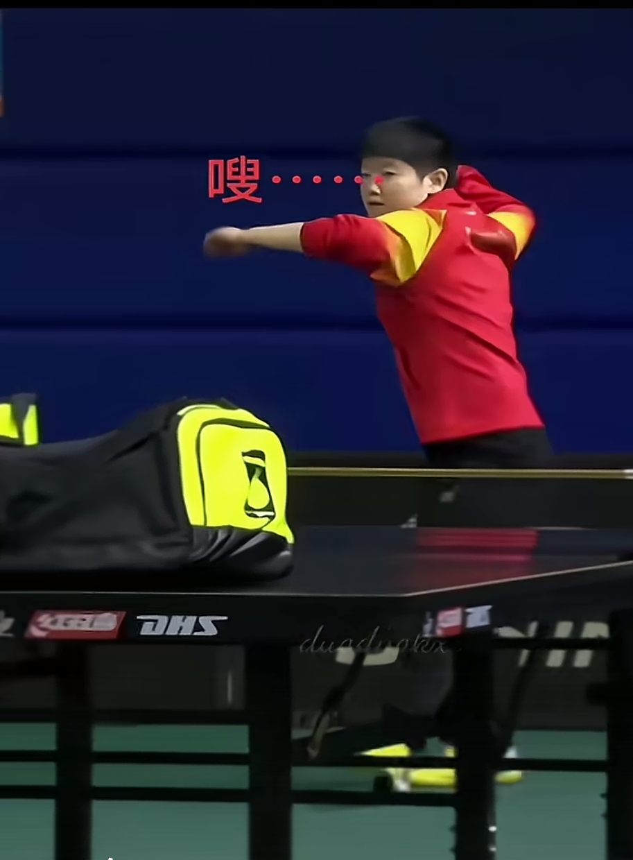 愤怒的乒乓球(愤怒的乒乓球国语版在线播放)