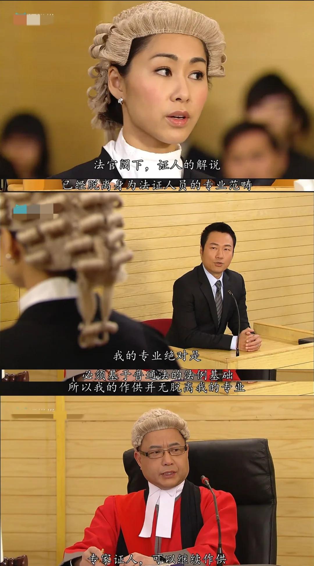 法证先锋3国语版(法证先锋3国语版完整免费观看谍错网)
