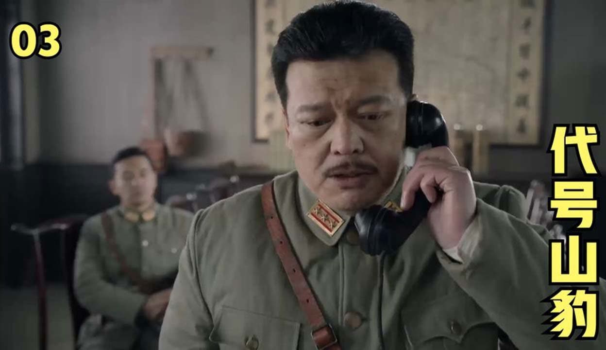 代号山豹电视剧全集在线观看(代号山豹全集免费收看)