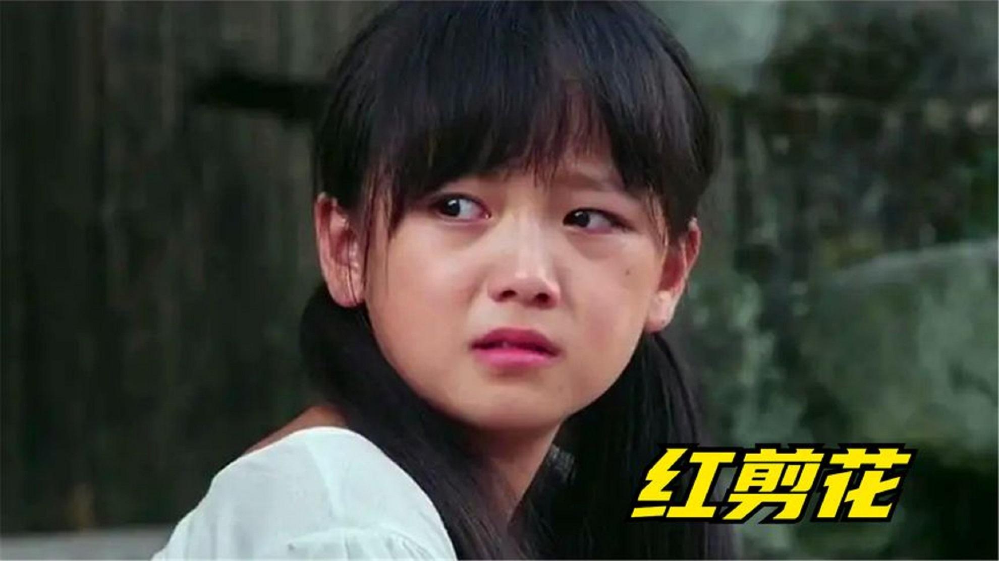 红剪花免费观看(红剪花免费观看2019)