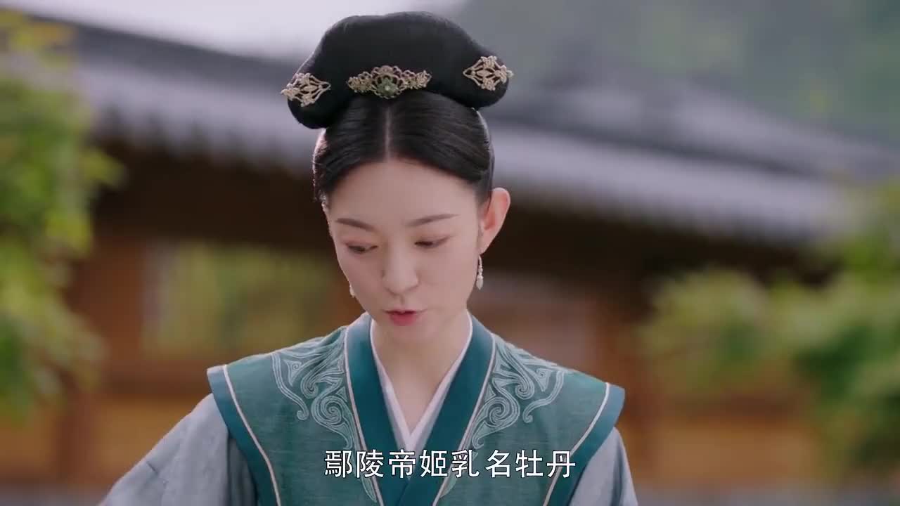 斛珠夫人免费观看(斛珠夫人免费观看电视剧星辰)