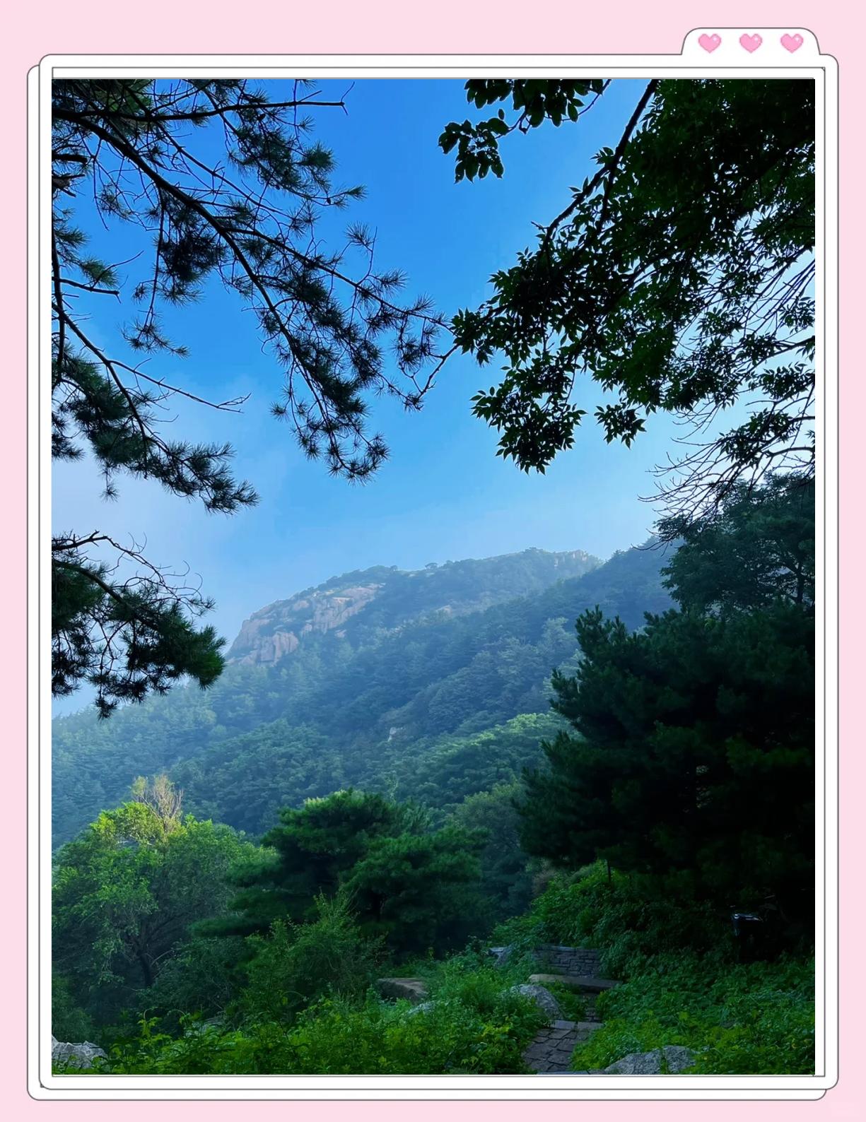 森林泰山(森林泰山电影高清完整版)