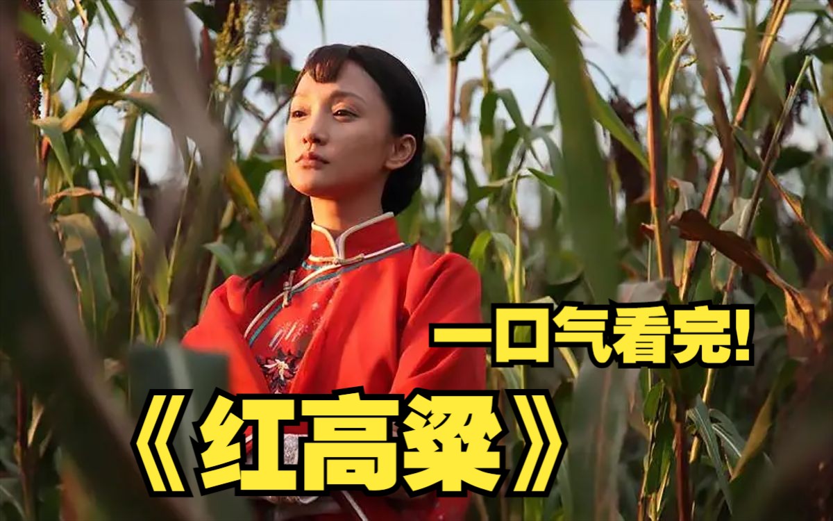 电视剧红高粱在线观看(电视剧红高粱 免费观看)