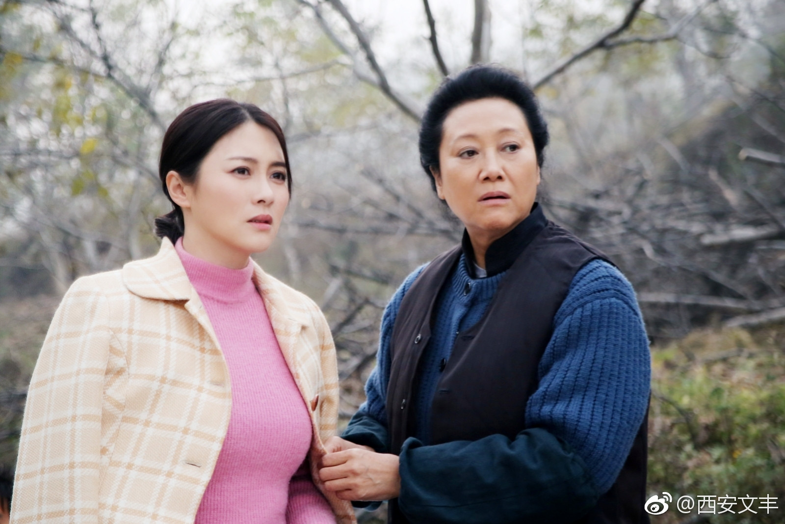 初婚电视剧全集(初婚全集35集免费观看)