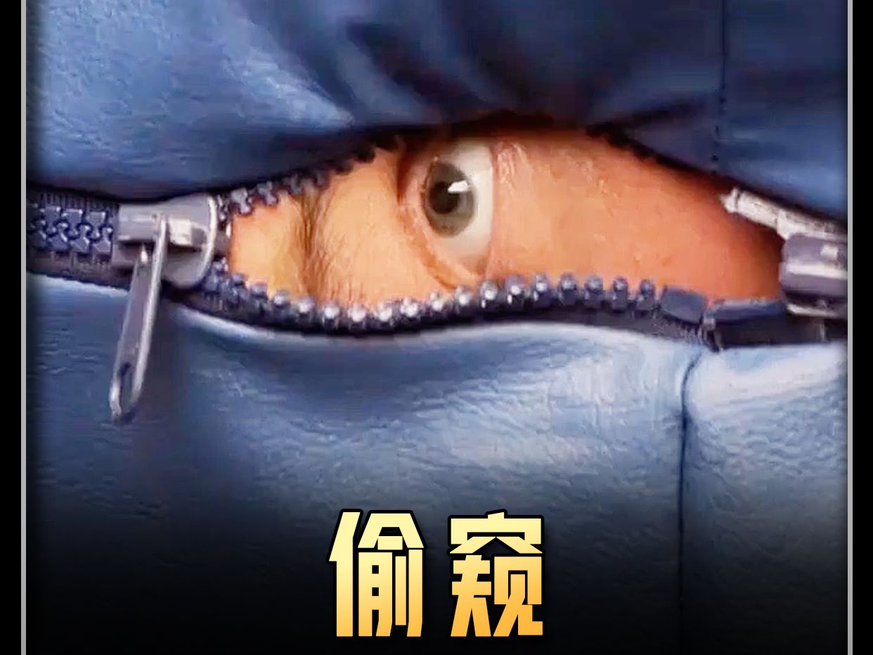 偷窥狂人(偷窥狂人女主角扮演者叫什么)