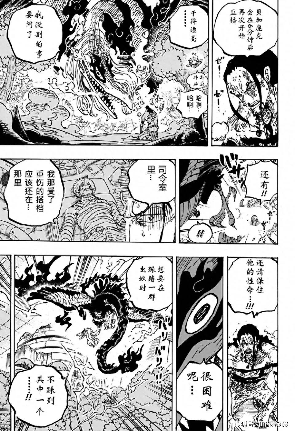 海贼王在线观看免费完整观看(海贼王在线观看免费完整观看抖音)