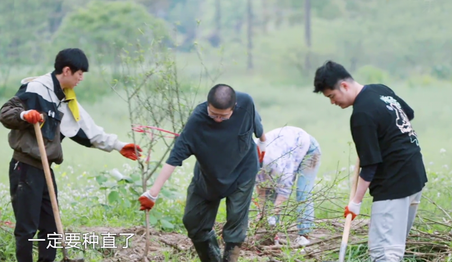 向往的生活5在线播放(向往的生活5在线观看免费西瓜)