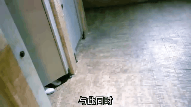 校墓处电影(校墓处电影深度解析)