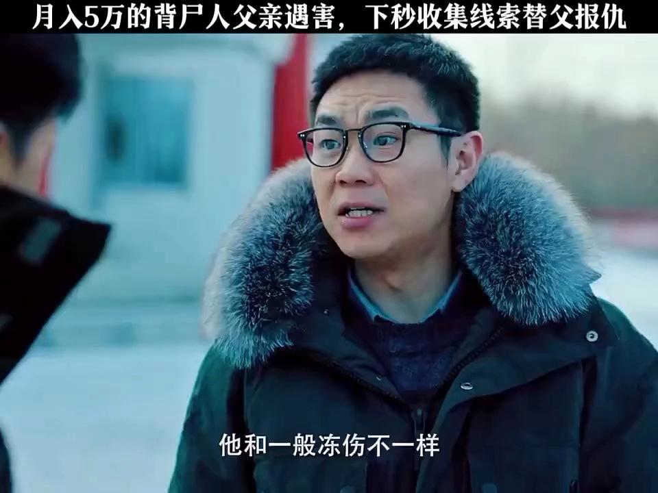 双探电视剧在线观看(双探电视剧在线观看16集)