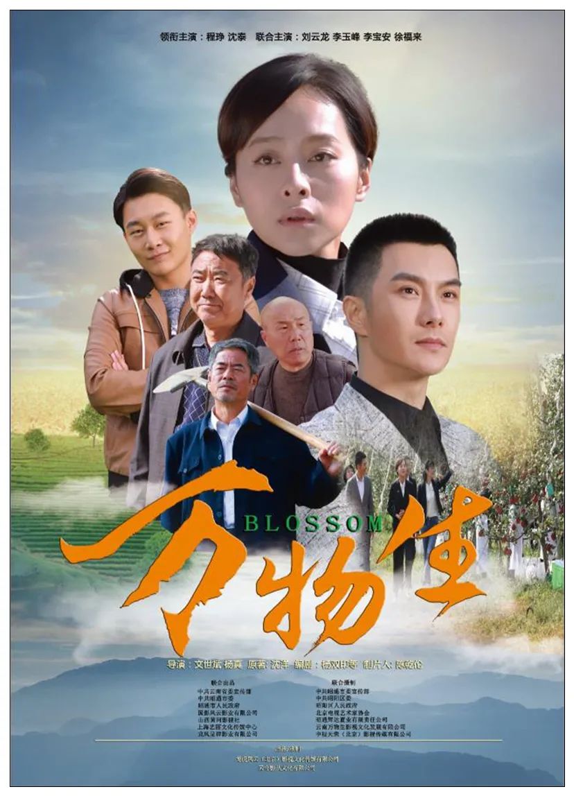 安家电视剧手机在线观看(安家电视剧在线播放免费)