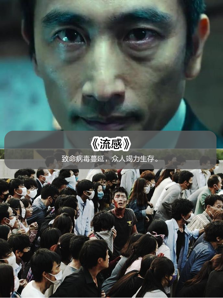 不可抗力电影(不可抗力电影百度百科)