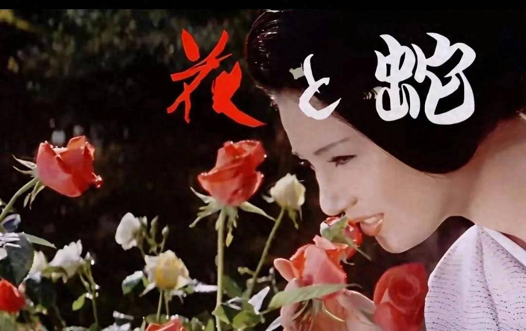 花与蛇3(花与蛇3演员表)
