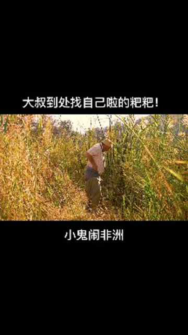 小鬼闹非洲(小鬼闹非洲2)