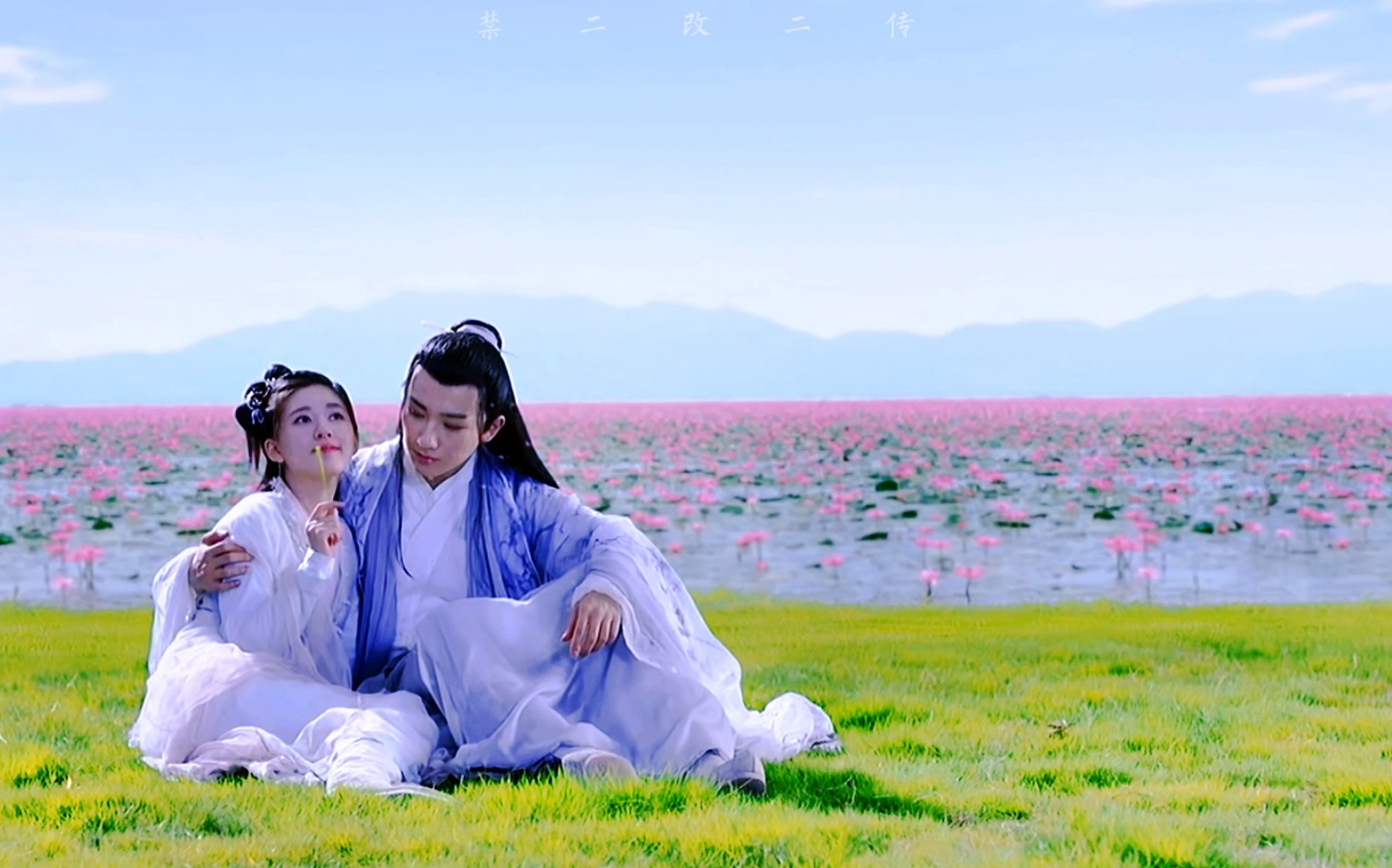春花秋月免费观看(电视剧春花秋月免费版)