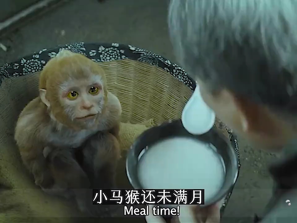 兴安岭猎人传说电影在线观看(兴安岭猎人传说电影免费观看西瓜)