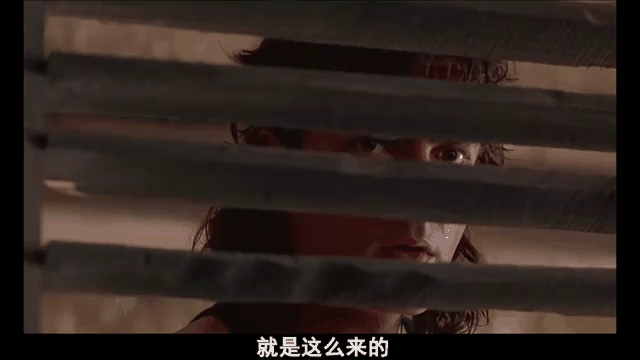 反斗神鹰国语(反斗神鹰国语版在线播放)