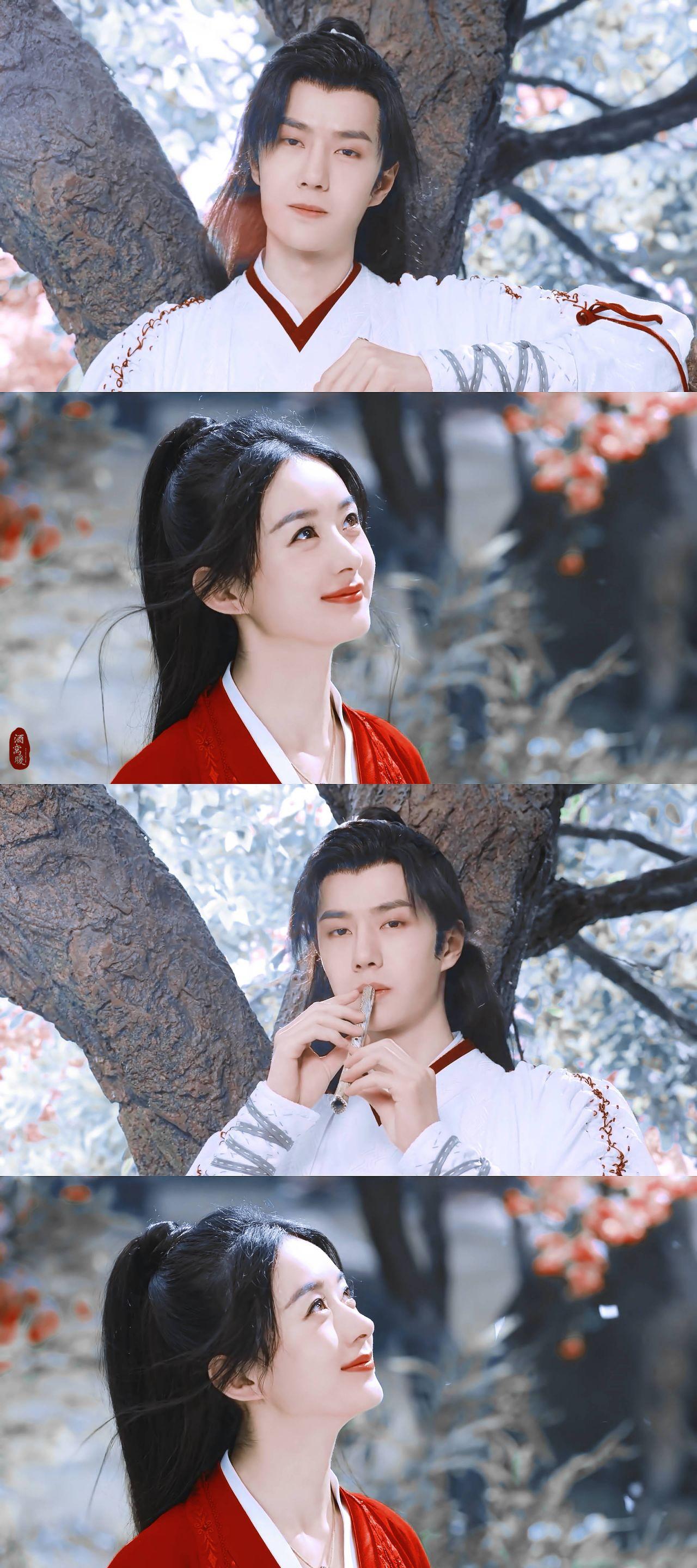 有翡在线观看免费完整版(有翡在线观看免费完整版最新)