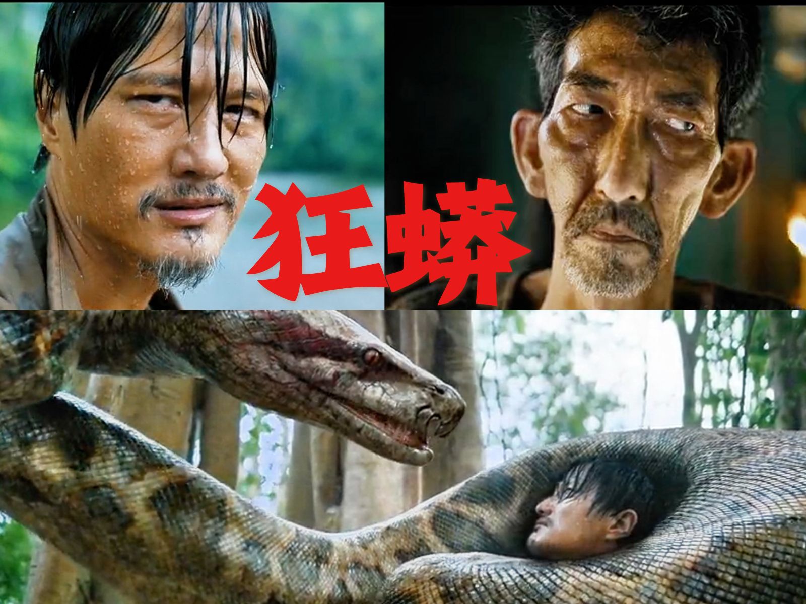 狂蟒之灾3(狂蟒之灾3普通话 电影)