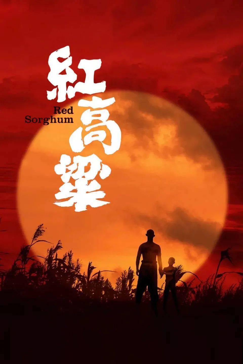 红高粱全集(红高粱全剧)
