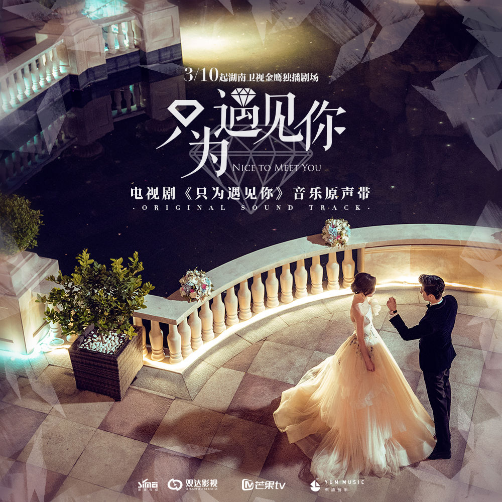 只为遇见你电视剧免费(只为遇见你45集免费观看)