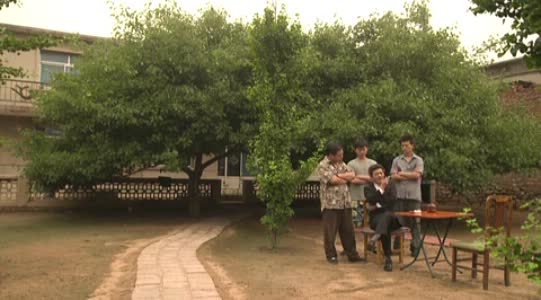 东北往事之黑道风云20年全集在线观看(东北往事之黑道风云20年 在线观看14集)