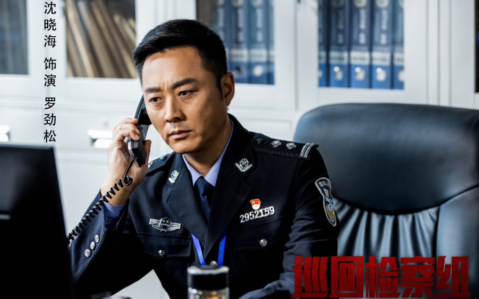 巡回检查组全集在线观看(巡回检查组在线观看免费完整版32集)
