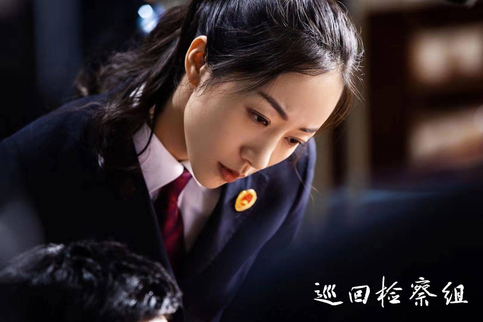 巡回检查组全集在线观看(巡回检查组在线观看免费完整版32集)