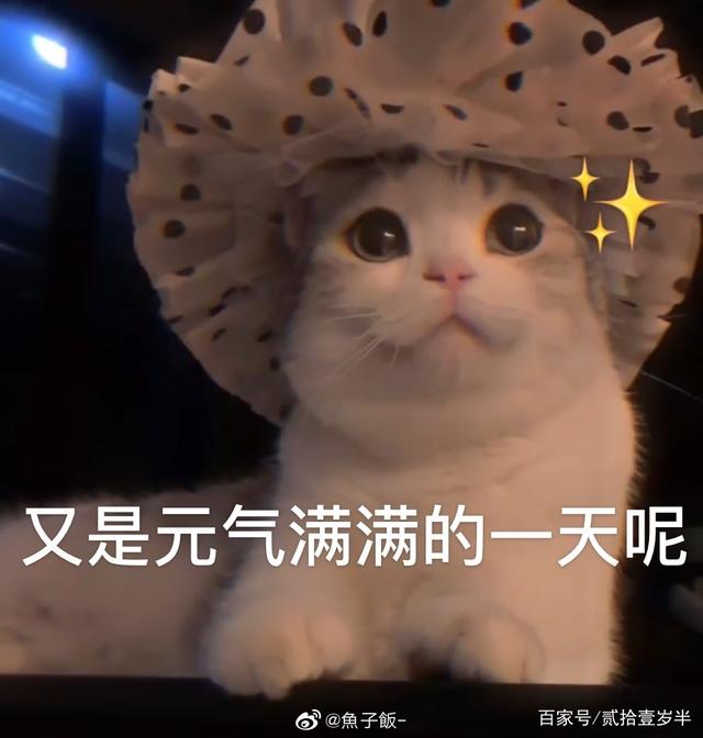 想要的一天(韩剧想要的一天)