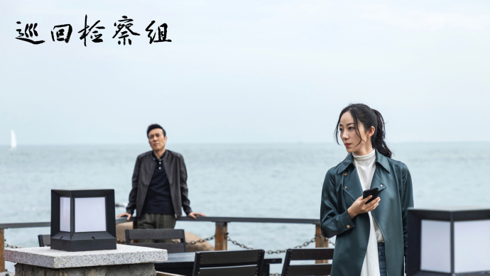 巡回检察组45集免费观看(巡回检察组在线观看免费43集)