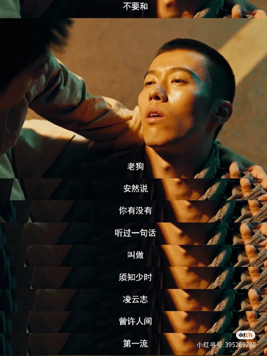 风犬少年的天空全集资源(风犬少年的天空16全集资源)