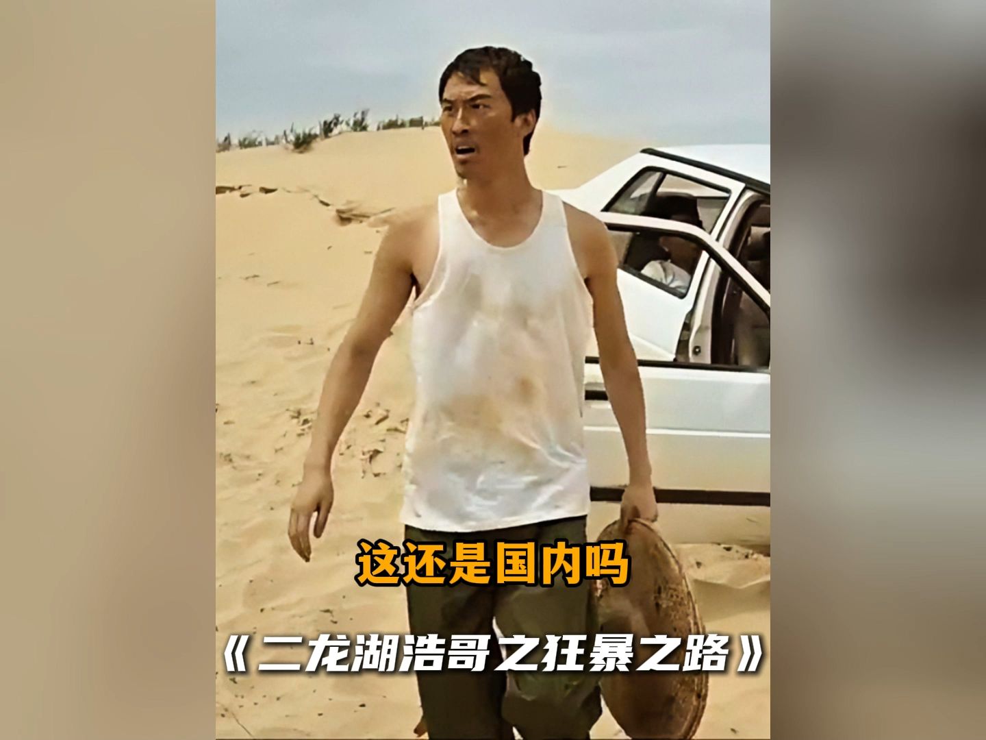 四平青年2龙湖浩哥(第一部四平青年二龙湖浩哥)