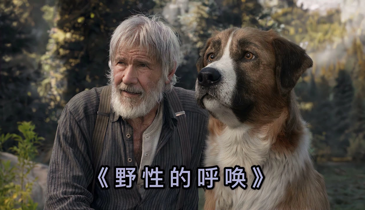 野性的呼唤在线观看免费(野性的呼唤在线观看免费中文)